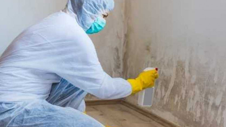 Hiring a Restoration Company