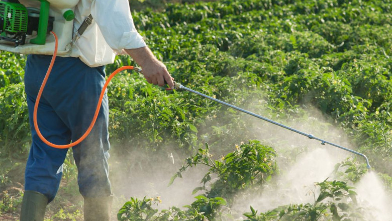 In-Depth Analysis And Forecast Of The Agrochemicals Market, As Well As Current And Future Market Trends