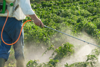 In-Depth Analysis And Forecast Of The Agrochemicals Market, As Well As Current And Future Market Trends