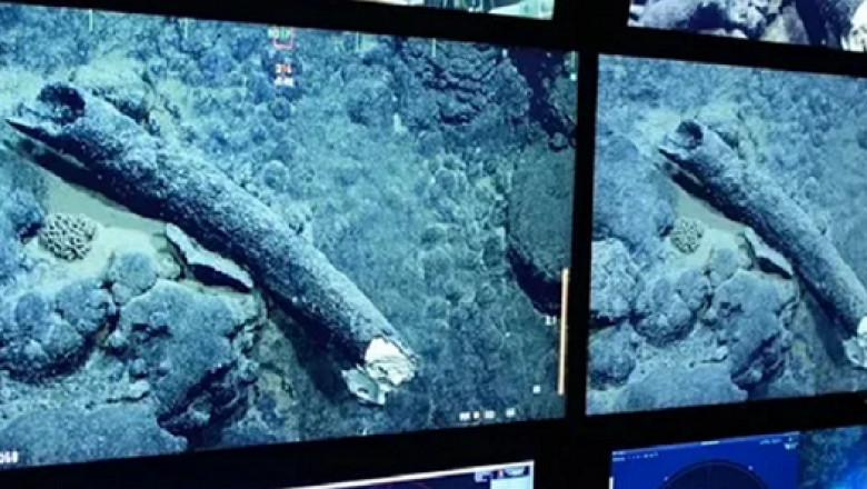 Mammoth Tusk Found 10,000 Feet Under the Sea