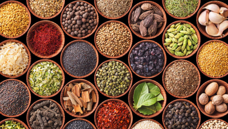 Potting Mix Additives Market Past Research, Deep Analysis and Present Data | Research Informatic
