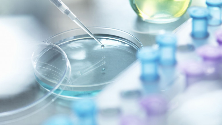Laboratory Equipment Market Analysis 2021 | Growth, Demand, Business Trends, COVID – 19 Outbreak, Competitor Strategy 2027