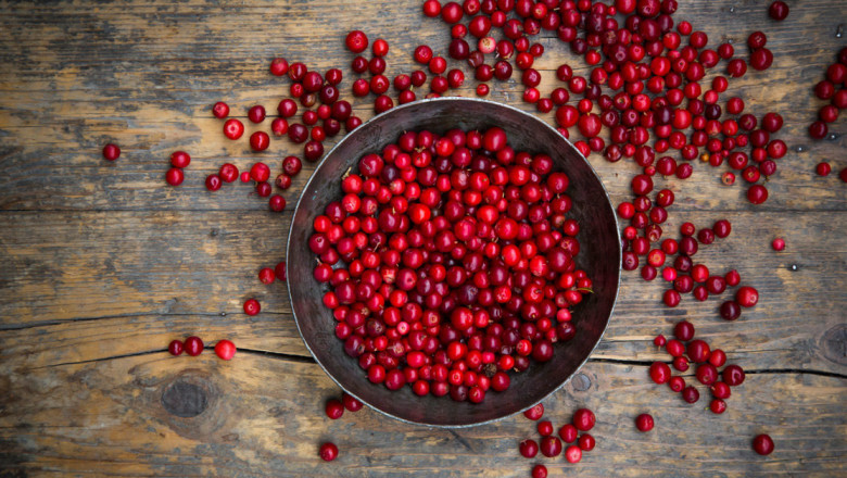 Lingonberry Market Overview On Revolutionary Trends by 2027