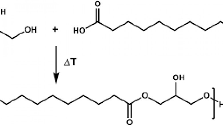 Polyglycerol Sebacate (PGS) Market to Develop Rapidly by 2031