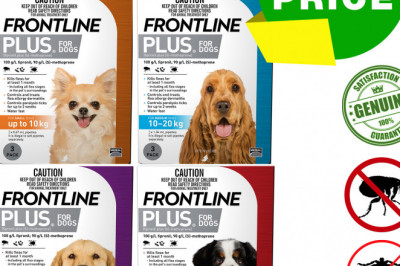 Frontline Plus for Dogs 3 Pipettes for Flea and Tick Treatment