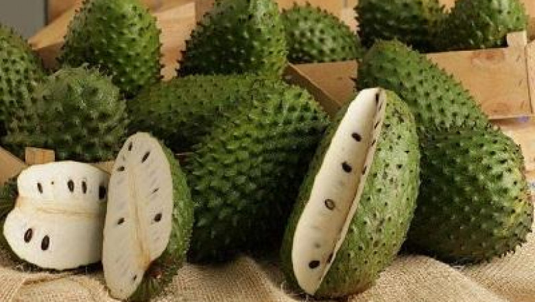 Guanabana Market Size & Share to See Modest Growth Through 2027