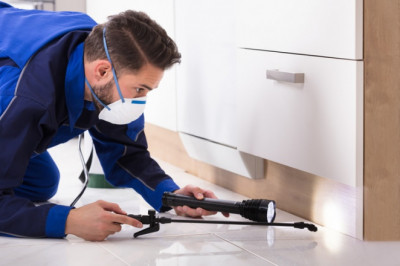 Home pest control methods without pesticides