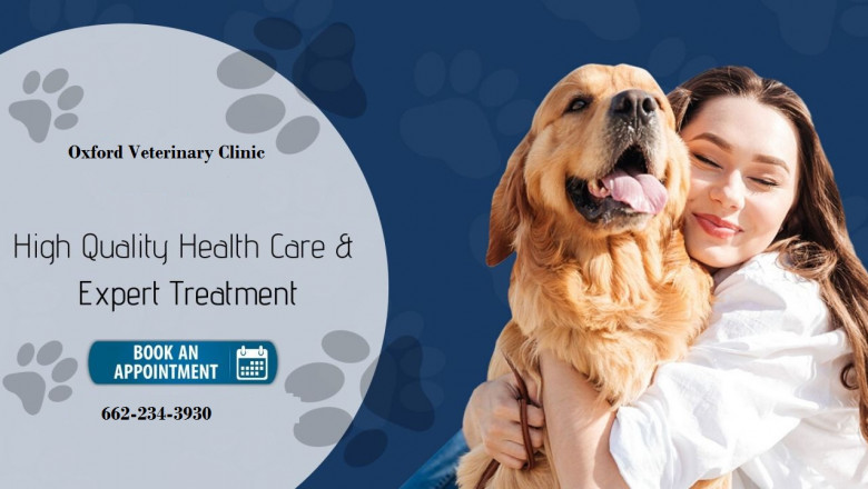 Best Animal Care Services Oxford | Veterinary Clinic