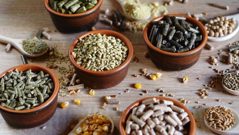Compound Feed Market Size, Share, Trend & Forecast 2026
