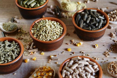 Compound Feed Market Size, Share, Trend & Forecast 2026