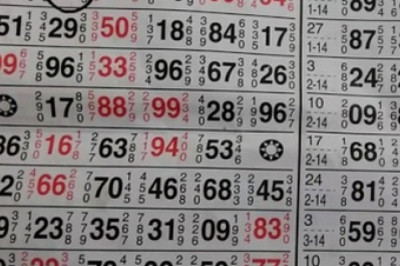 How to Check Satta Online Result | Satta Satta 2021
