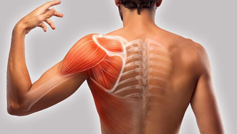 One of The Best Shoulder Pain Specialist in NYC