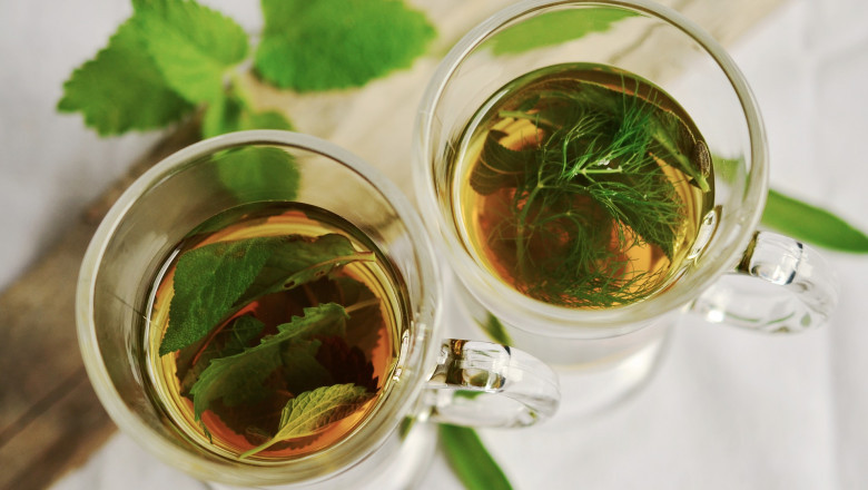 Sage Extract Market - Global Industry Analysis 2026