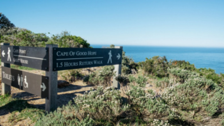 Cape Winelands Private Day Tours