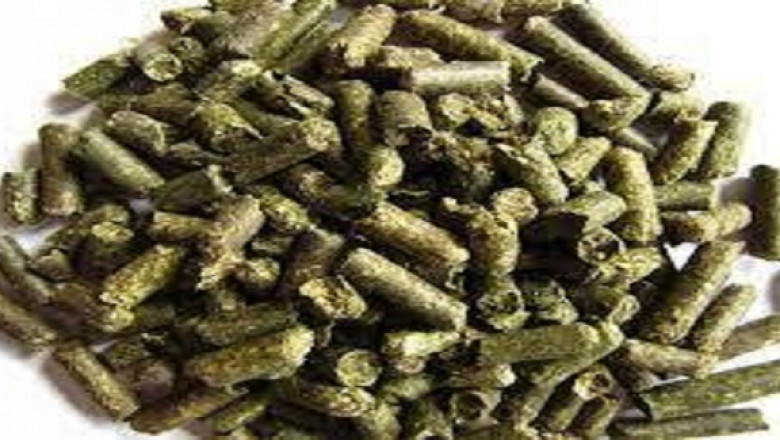 Global Dehydrated Alfalfa market Research Report : Ken Research