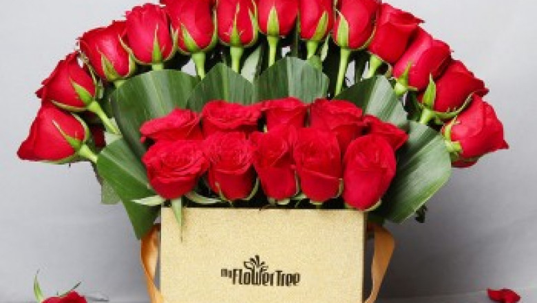 Why you should know the Positive Effect of Flowers?