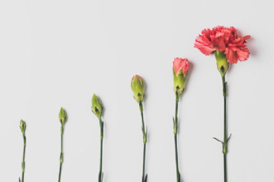 CHANGE WHAT YOU CAN, ACCEPT WHAT YOU CAN’T