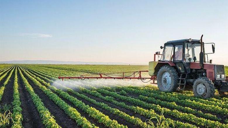 Agricultural Fumigants Market Size, Share, Trend, Growth & Forecast 2025