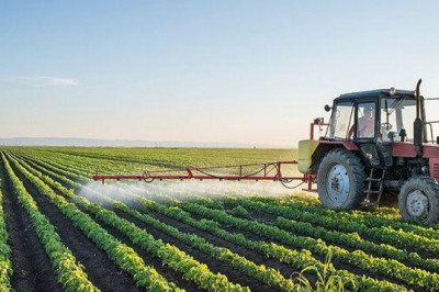 Agricultural Fumigants Market Size, Share, Trend, Growth & Forecast 2025