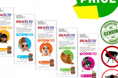 BRAVECTO 2 Chews for Dogs 3 months Tick and Flea Protection