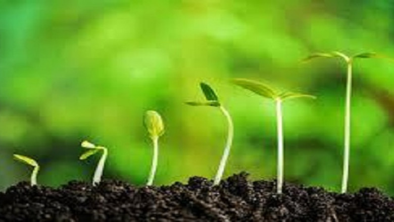 Global APAC Microbial Pesticides market grow with a CAGR of 14.5% By 2020 to 2027: Ken Research