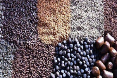 Global Aquafeed Market Size, Share, Growth, Trend & Forecast 2025