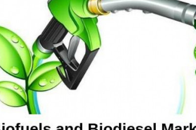 Global Biodiesel Market Size, Share, Growth, Trend & Forecast 2025