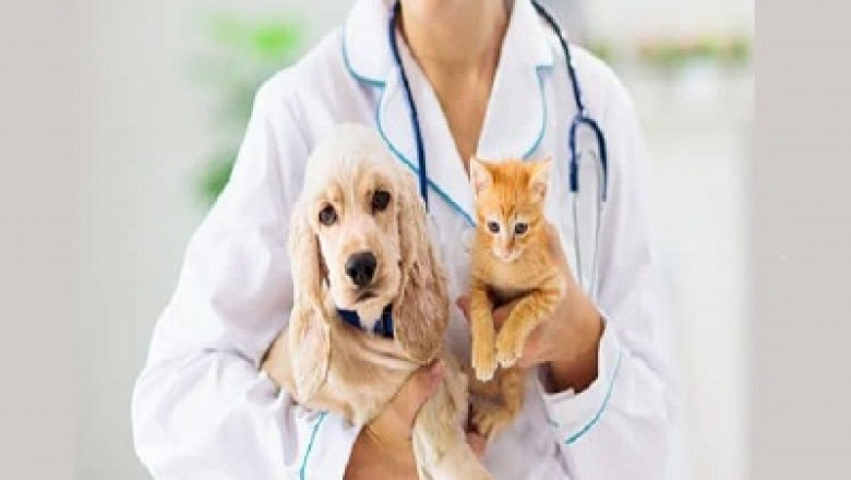 India Animal Pharmaceuticals Market to Grow at a Steady Rate through FY2027 | TechSci Research