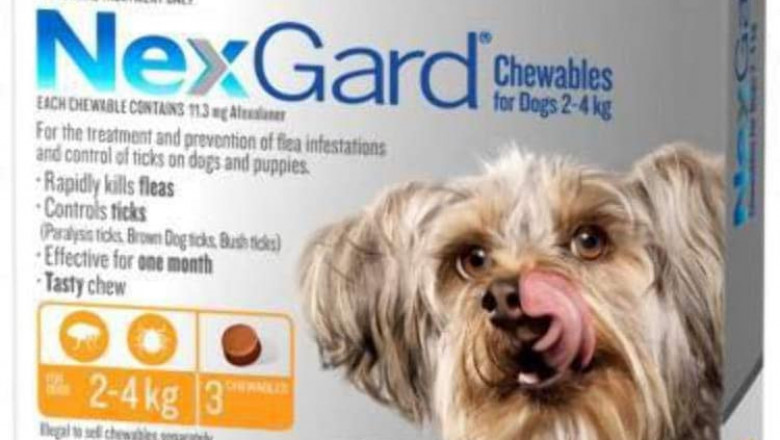 Nexgard Flea & Tick Monthly Chew for Dog 2 to 4Kg