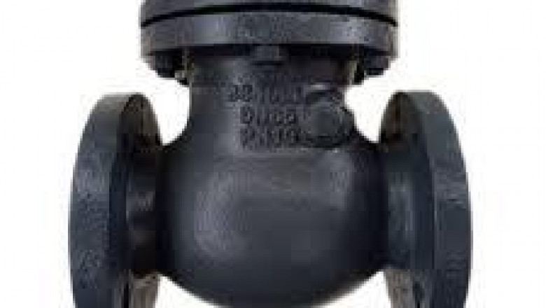 Super duplex check valve manufacturer in India