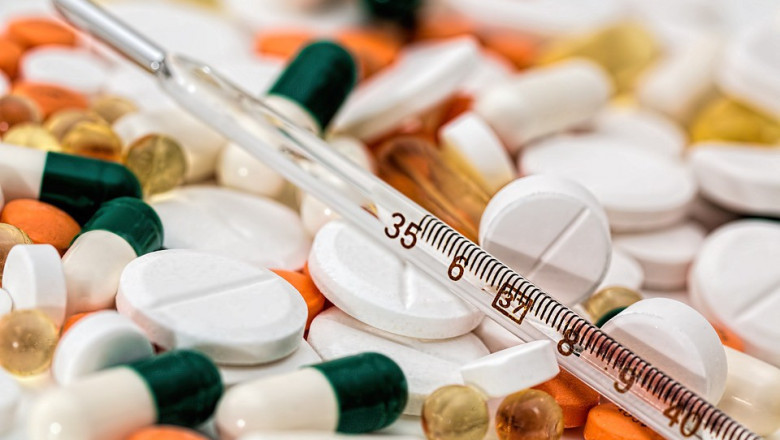 The global Nano Silicon Drug Delivery Platform Market's dynamics are linked to an assessment of the strategic landscape of various regional markets, key regulatory challenges
