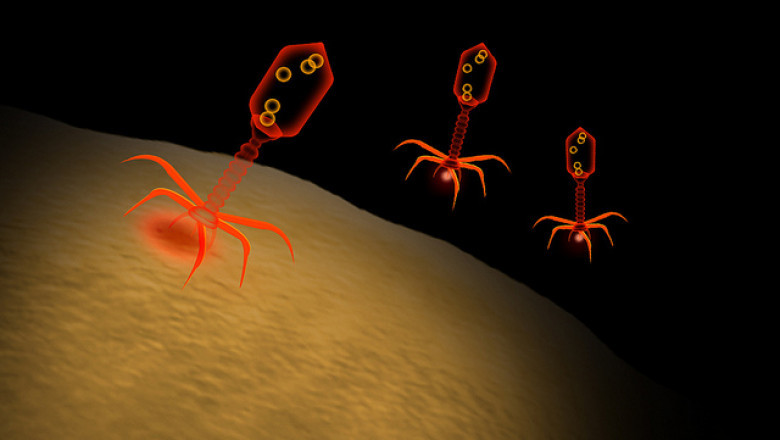 Asia-Pacific Bacteriophages Therapy Market to Witness High Growth, Dynamics, Production, Demand Analysis and Forecast 2021-2028