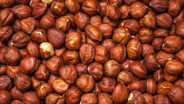 Sacha Inchi Protein Market - Global Industry Report, 2030