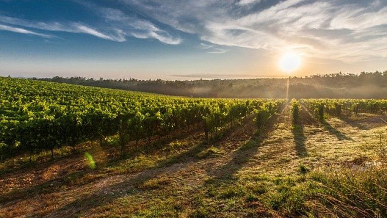 Smart Farming Market Future Plans and Opportunity Assessment 2020-2026