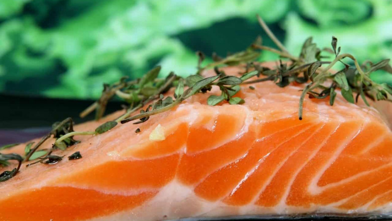 The way to Choose The ideal Fish Oil Supplements Offered