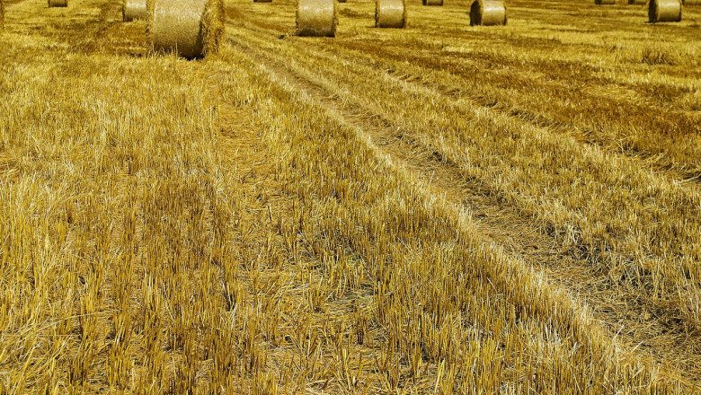 Agriculture Email List