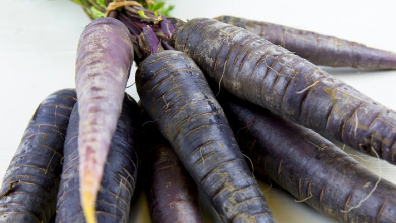 Everything about black carrot extract