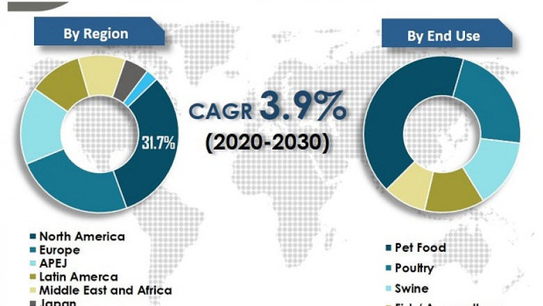 Global Palatants Market To Reach Valuation Of ~US$ 3.7 Bn By 2030