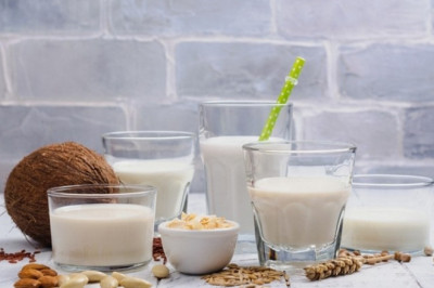 Innovative Report on Dairy Alternatives Market 2021 Focusing on Industry Growth and Emerging Trends with Key Vendors like  Earth's Own Food Company Inc, CP Kelco