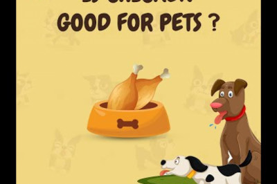 Is Chicken Good for Pets?