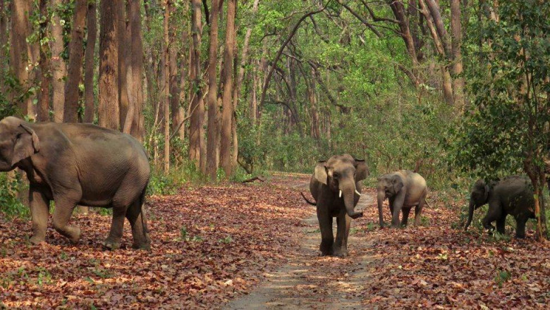wildlife destination in India