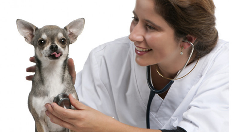 Comet Bay Vet Hospital