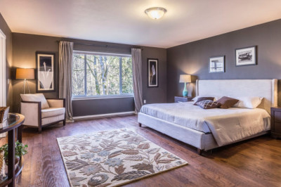 Kasauli Wilderness Camp || About WOWz