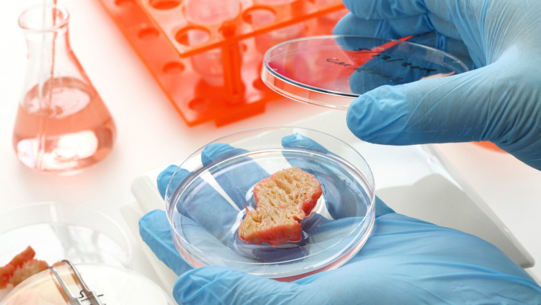Single Cell Protein Market:Latest Trends, Rising Demand and Applications 2020-2030
