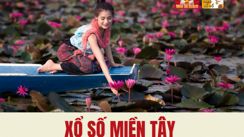 Xo So Than Meo