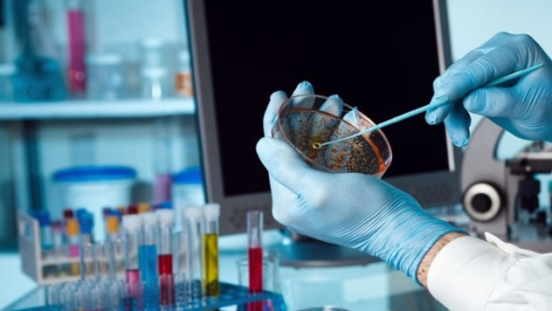 Biobanking Market 2021 - Top Manufacturers, Latest Trends, Future Prospects and Forecast 2028