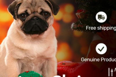 BudgetPetSupplies is offering exciting Christmas discounts for your pets