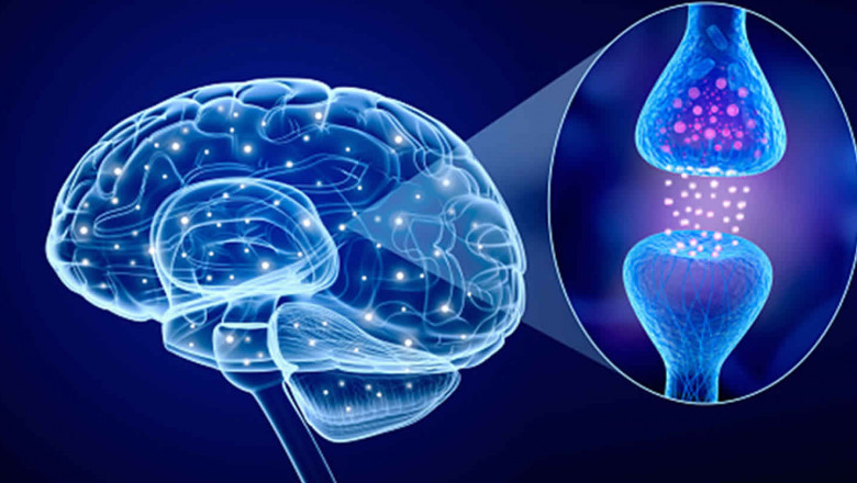 Catalepsy Treatment Market 2021 Industry Future Growth, Key Player Analysis and Forecast 2028