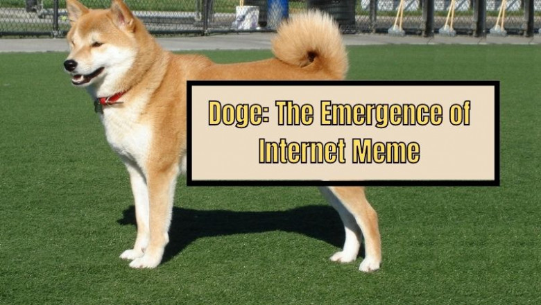 Doge: The Emergence of Internet Meme