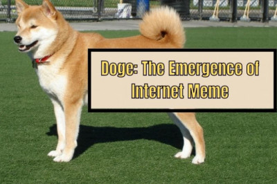 Doge: The Emergence of Internet Meme
